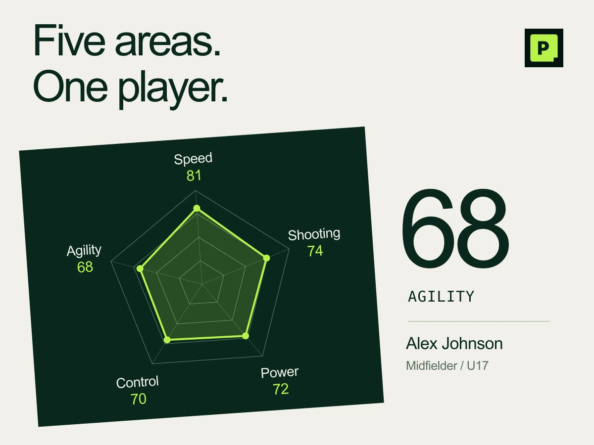 Alex Johnson’s existing sample skill map, with the five illustrative sample scores and an emphasis on agility.